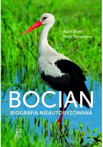 bocian.jpg