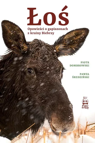 dombrowski_sredzinski_los.webp